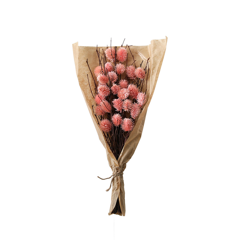 5059413695629-hudson-living-dried-54cm-thistle-bundle-in-paper-wrap-blush
