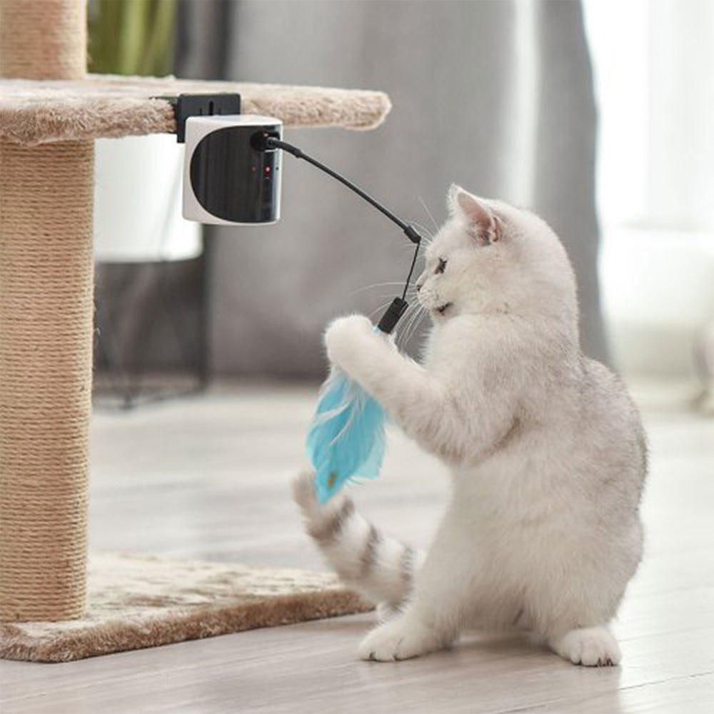 Dogness Electronic Interactive Laser And Feather Cat Teaser