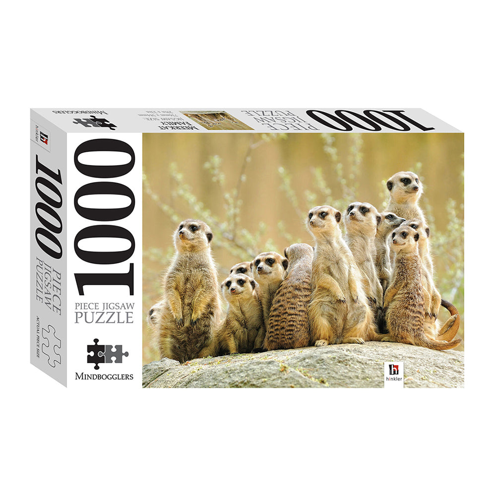 Mindbogglers Meerkat Family 1000-piece Jigsaw Puzzle