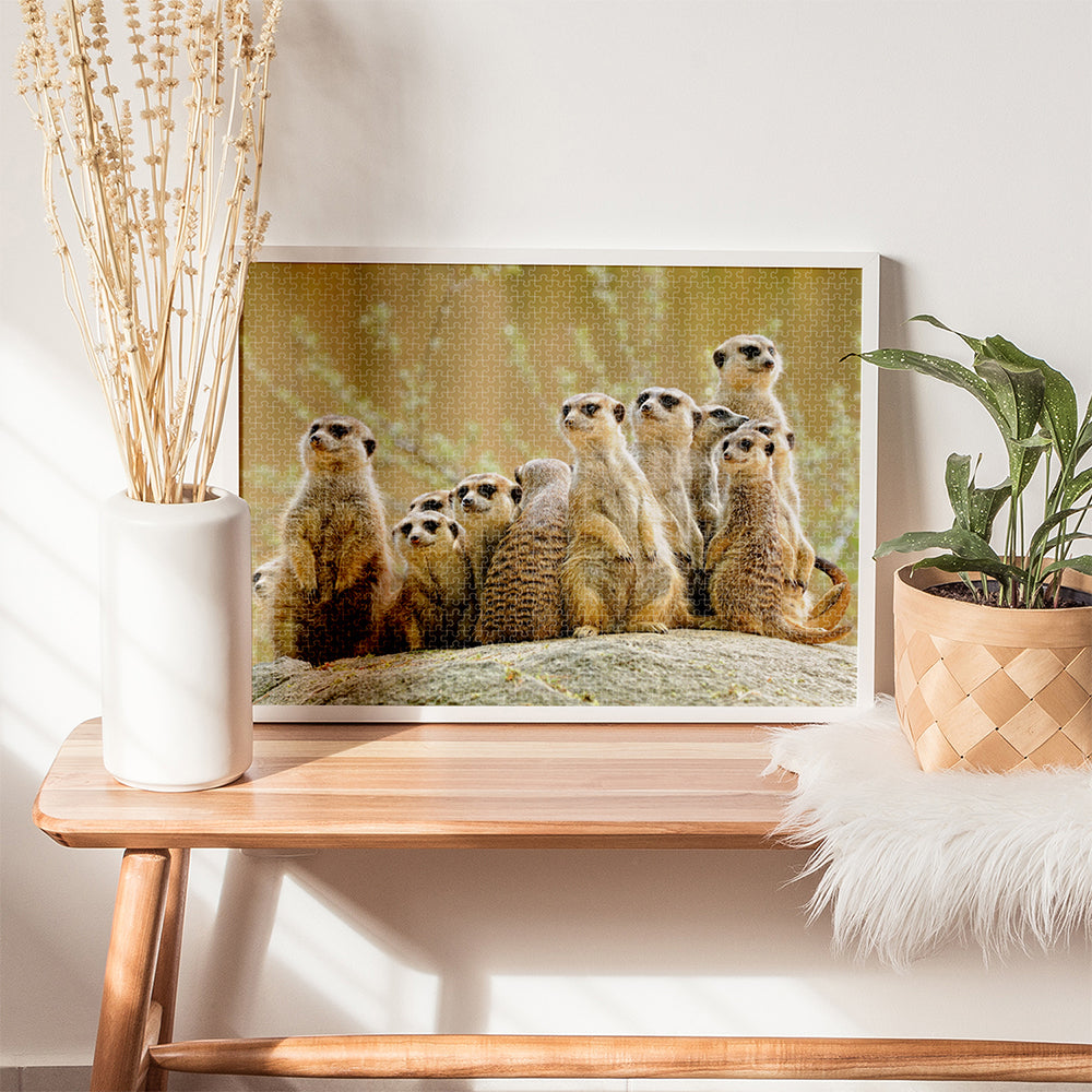 Mindbogglers Meerkat Family 1000-piece Jigsaw Puzzle