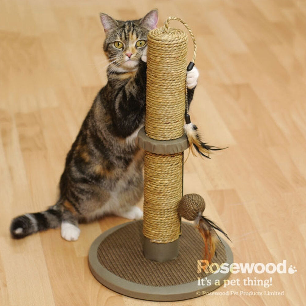 40116-rosewood-catwalk-collection-vigo-cat-scratcher-45cm