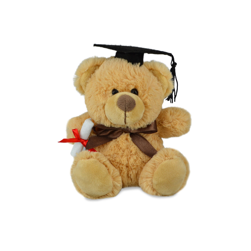 250166489-my-buddy-bear-16cm-graduation-soft-plush-toy-kids-3y