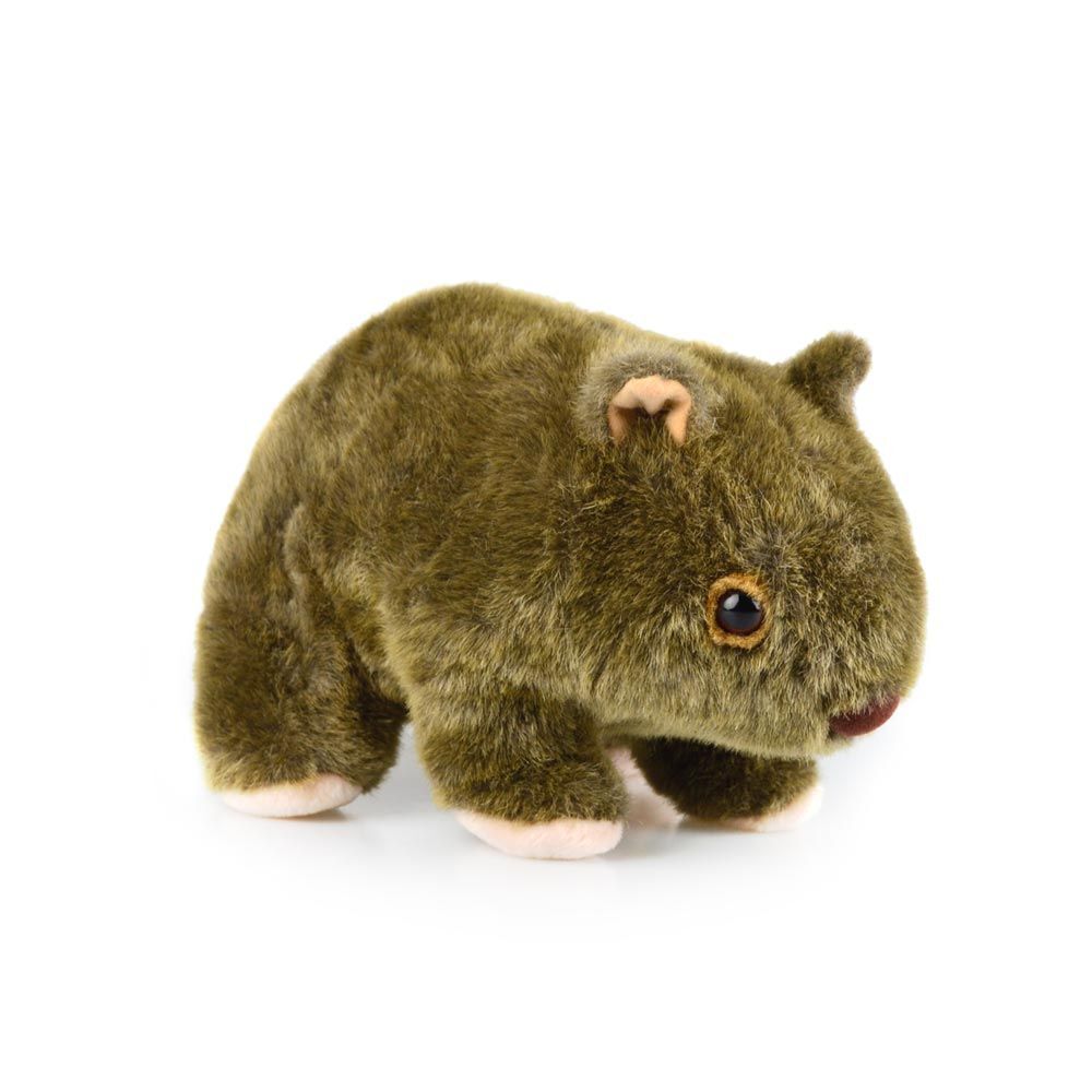 560170610-wombat-am-ab61-kids-17cm-soft-toy-3y