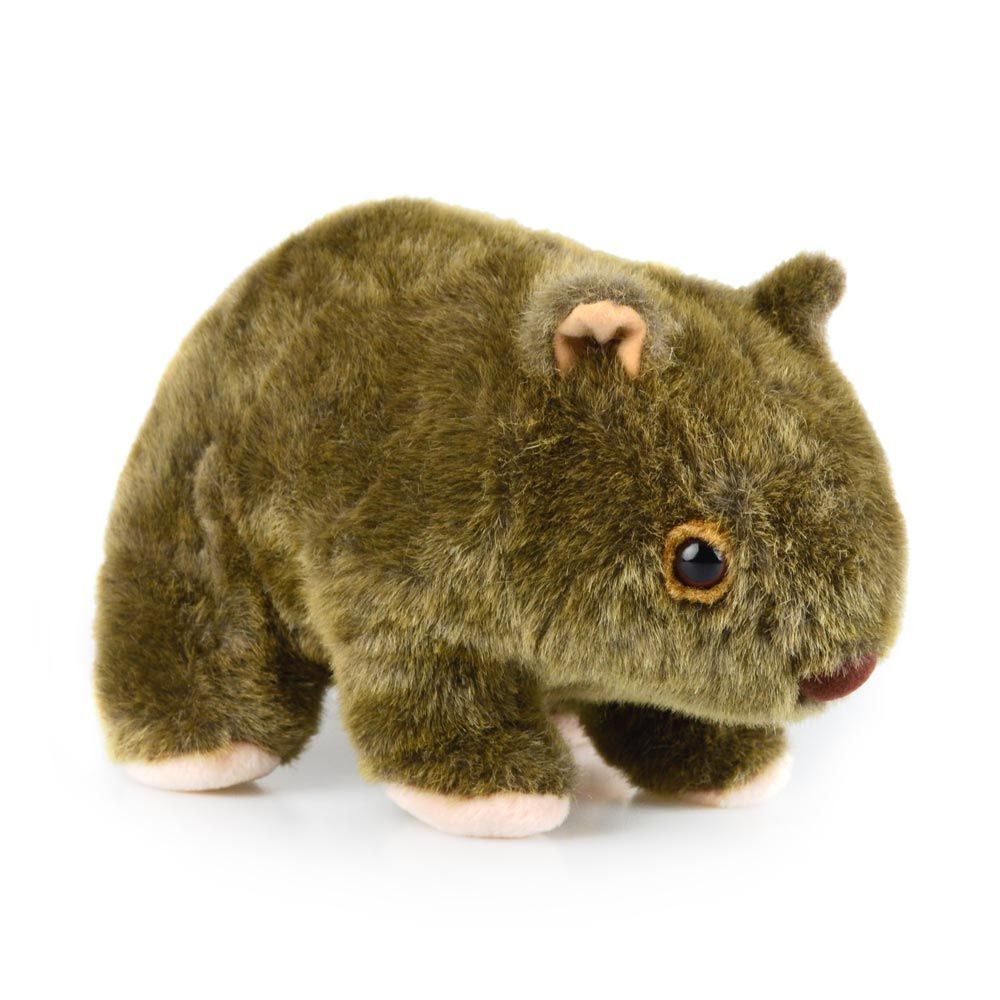 560250641-wombat-am-ab64-kids-25cm-soft-toy-3y