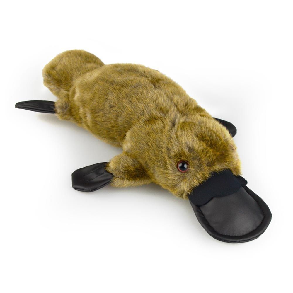 560370733-platypus-am-ab73-kids-37cm-soft-toy-3y
