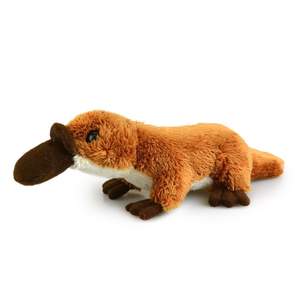 57i0152672-platypus-lil-friends-kids-15cm-soft-toy-3y