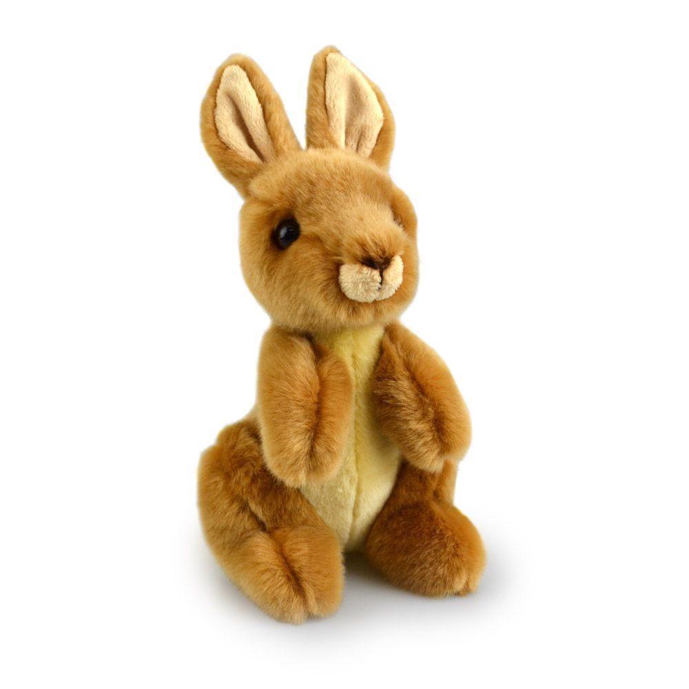 57i0182870-kangaroo-lil-friends-kids-18cm-soft-toy-3y
