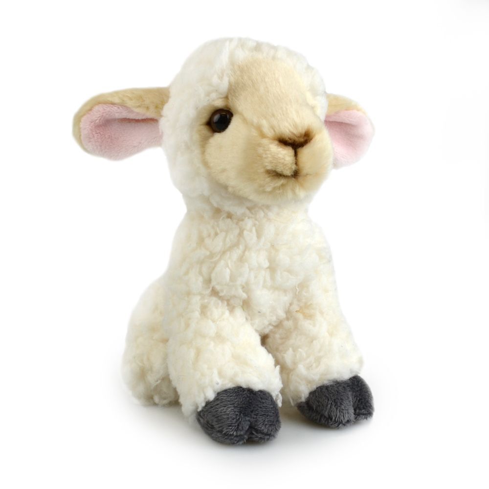 57i0183679-lamb-lil-friends-kids-18cm-soft-toy-3y