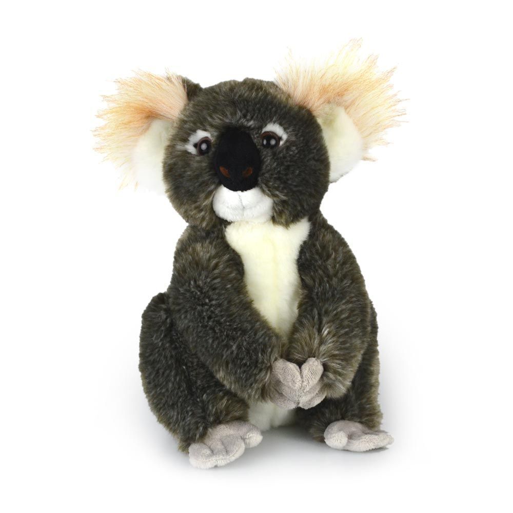 57i0307084-koala-kimba-kids-30cm-soft-toy-3y