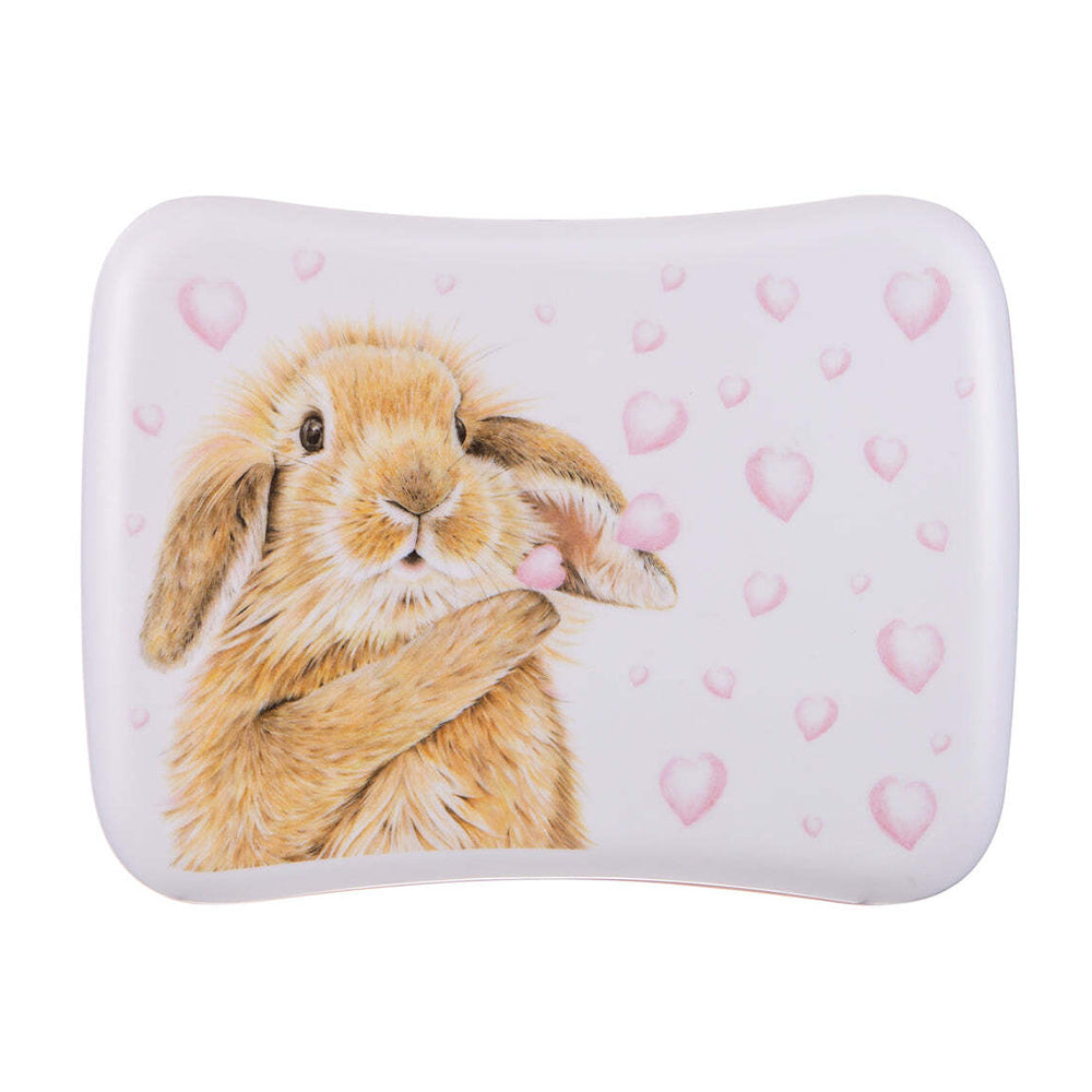 520907-ashdene-bunny-hearts-lunch-box