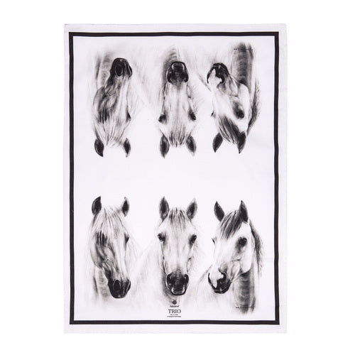 521313-ashdene-trio-grey-70x50cm-tea-kitchen-towel-white