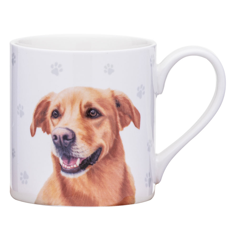521578-ashdene-paws-all-380ml-mug-coffee-tea-cup-golden-retriever