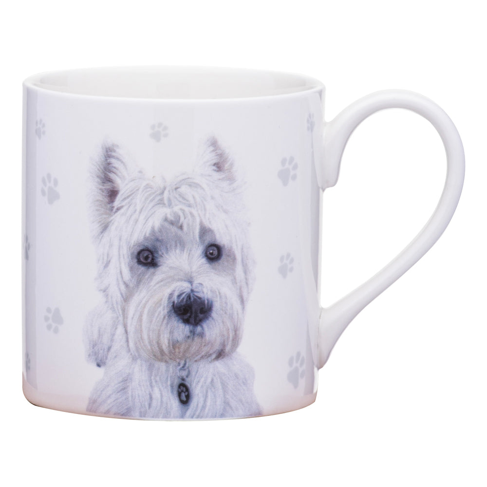 521584-ashdene-paws-all-380ml-mug-coffee-tea-cup-west-highland