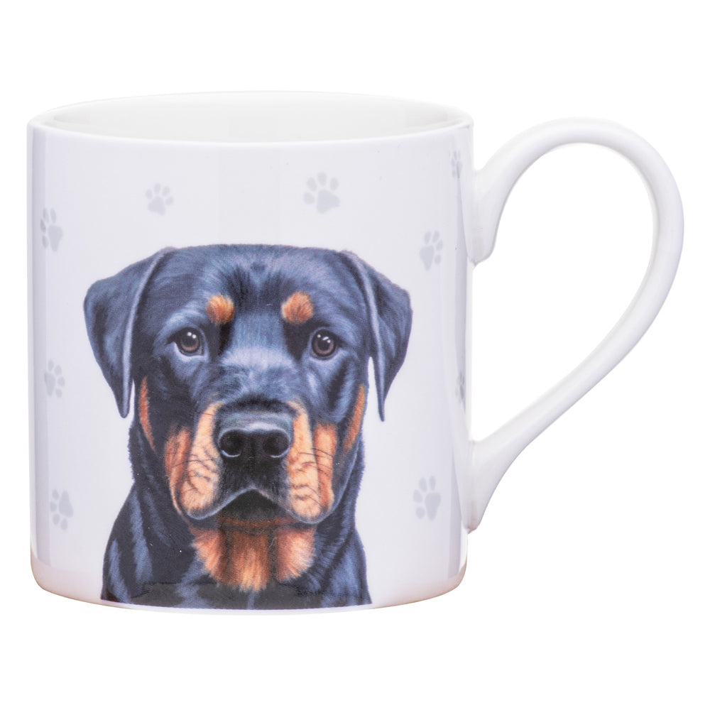 521585-ashdene-paws-all-380ml-mug-coffee-tea-cup-rottweiler