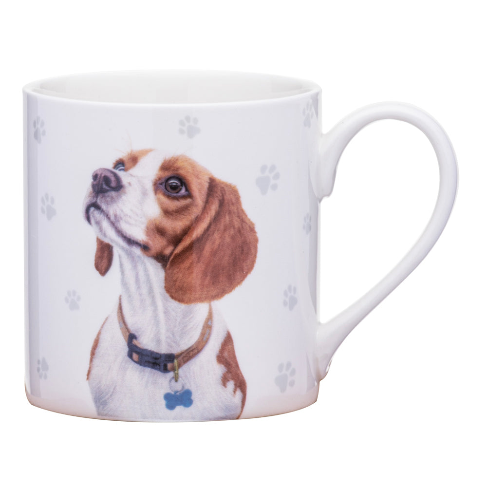 521587-ashdene-paws-all-380ml-mug-coffee-tea-cup-beagle
