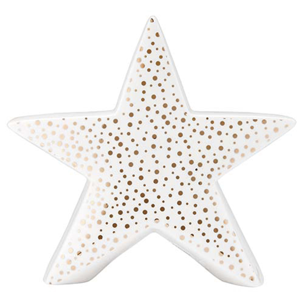 73895-ladelle-glitz-white-gold-star-22cm-porcelain-seasonal-festive-decoration