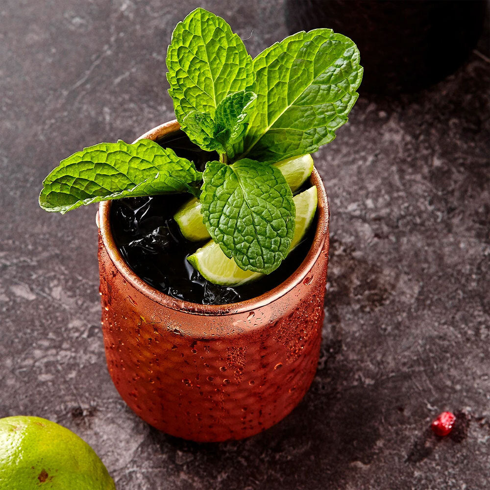 897154-2pk-tempa-spencer-hammered-copper-tumbler-400ml