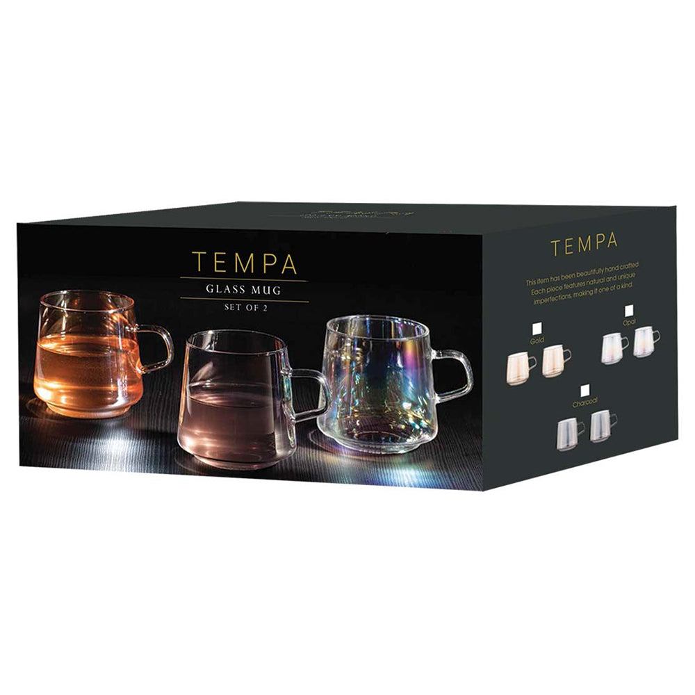 897246-2pc-tempa-oaklyn-charcoal-glass-mugs-450ml
