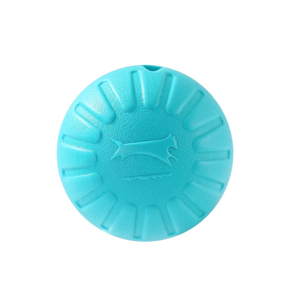12083-paws-claws-9cm-fetch-n-play-ball-pet-dog-toy-aqua