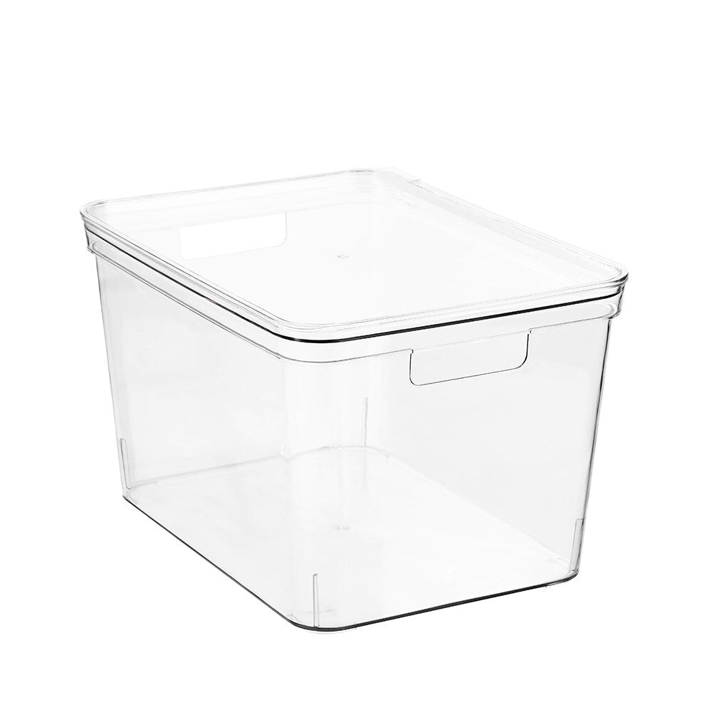 13714-boxsweden-crystal-36x22-5cm-storage-container-w-lid-large-clear
