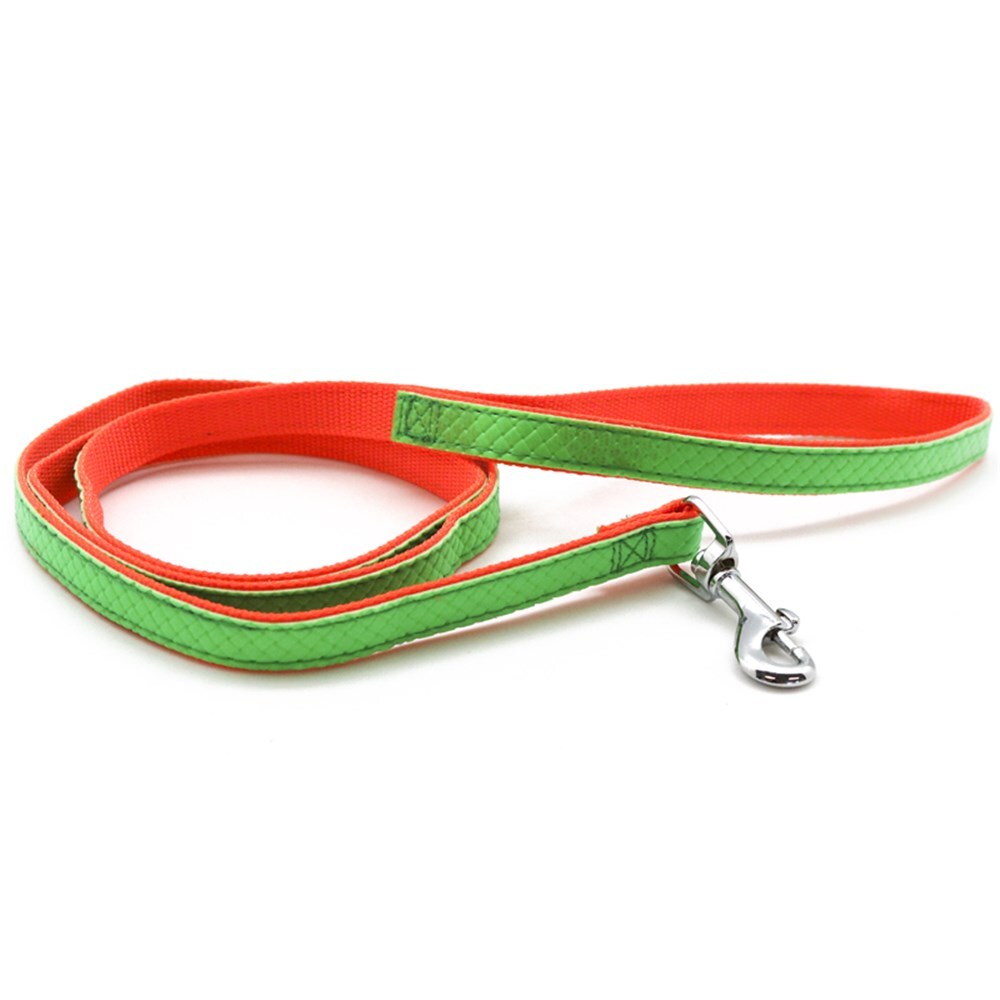 44360-paws-claws-120cm-colourful-p-u-nylon-leash-assorted