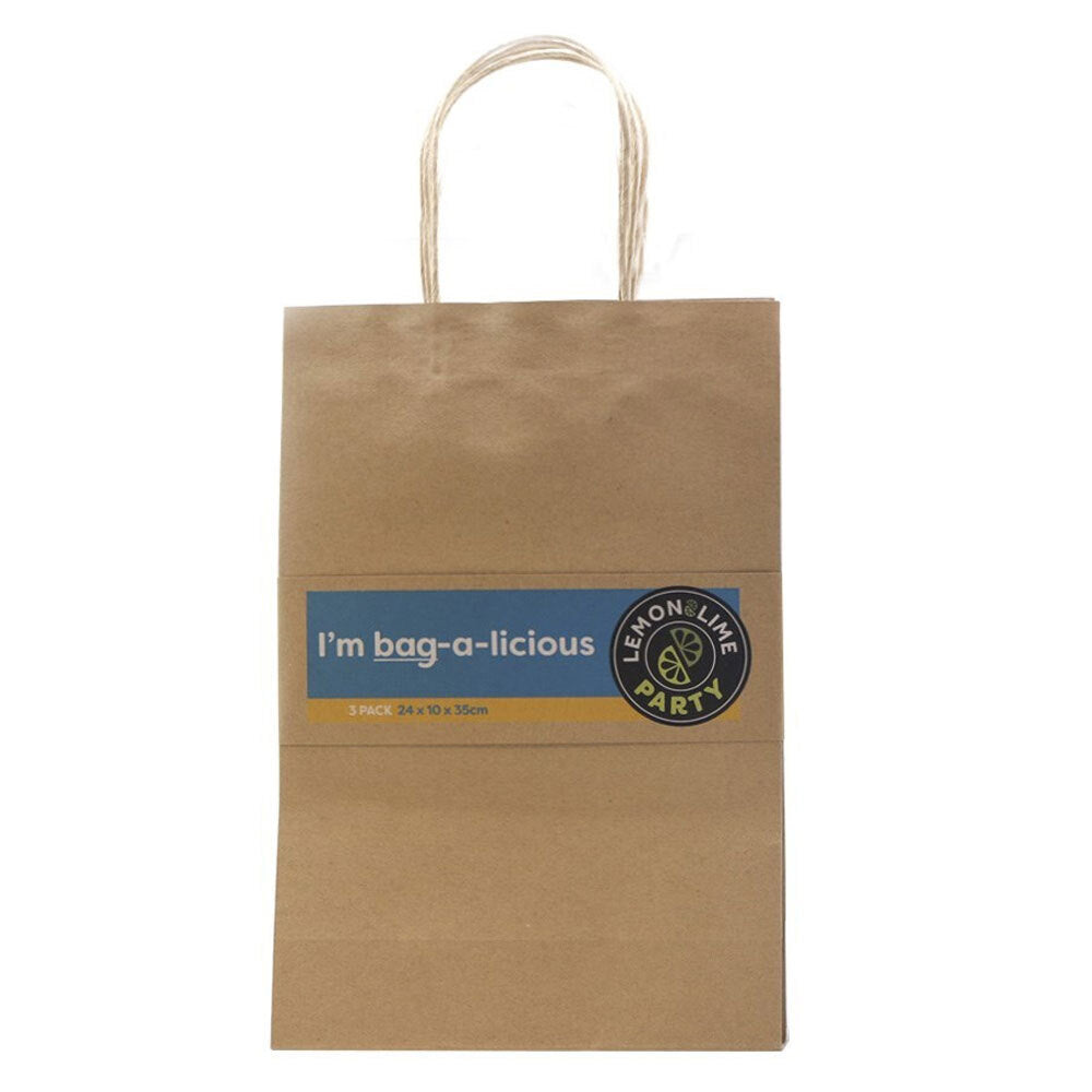 45596-3pk-lemon-lime-gift-bag-paper-35x24x10cm-assorted