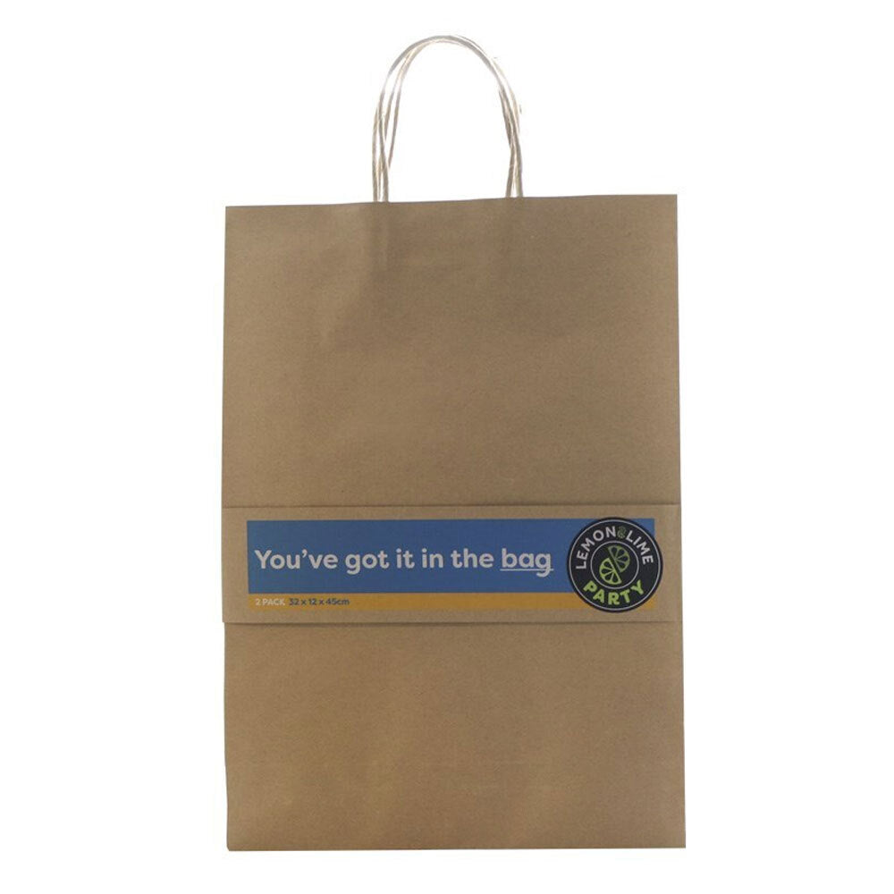 45602-2pk-lemon-lime-gift-bag-paper-45x32x15cm-assorted