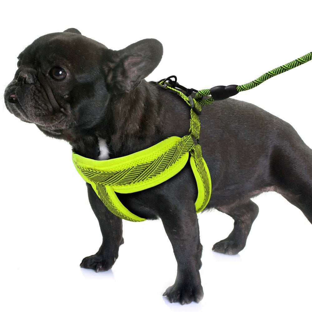 70338-paws-claws-mesh-lead-harness-1-5cmx120cm-42-60cm-small-assorted