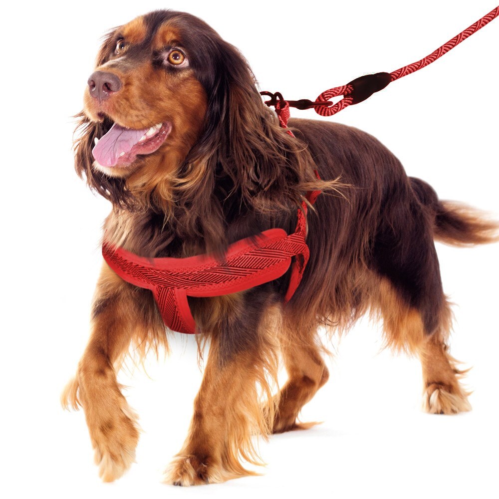 70345-paws-claws-mesh-lead-harness-2cmx120cm-50-70cm-medium