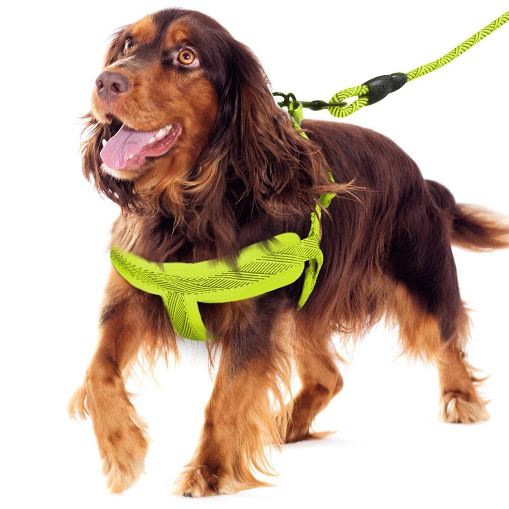 70345-paws-claws-mesh-lead-harness-2cmx120cm-50-70cm-medium