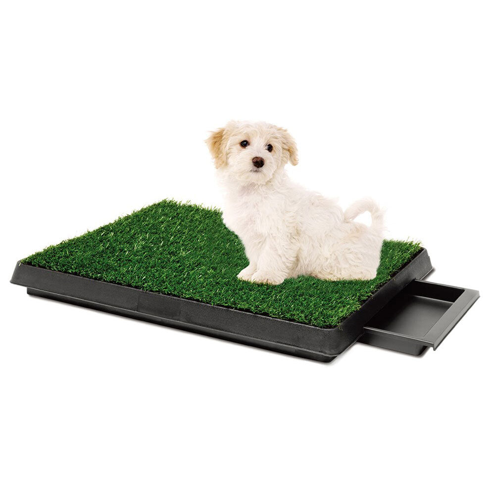 79003-paws-claws-indoor-training-pet-potty-grass