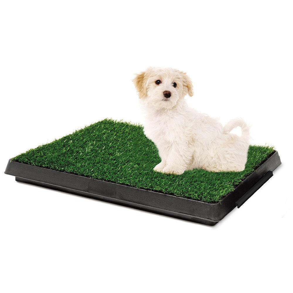 79003-paws-claws-indoor-training-pet-potty-grass