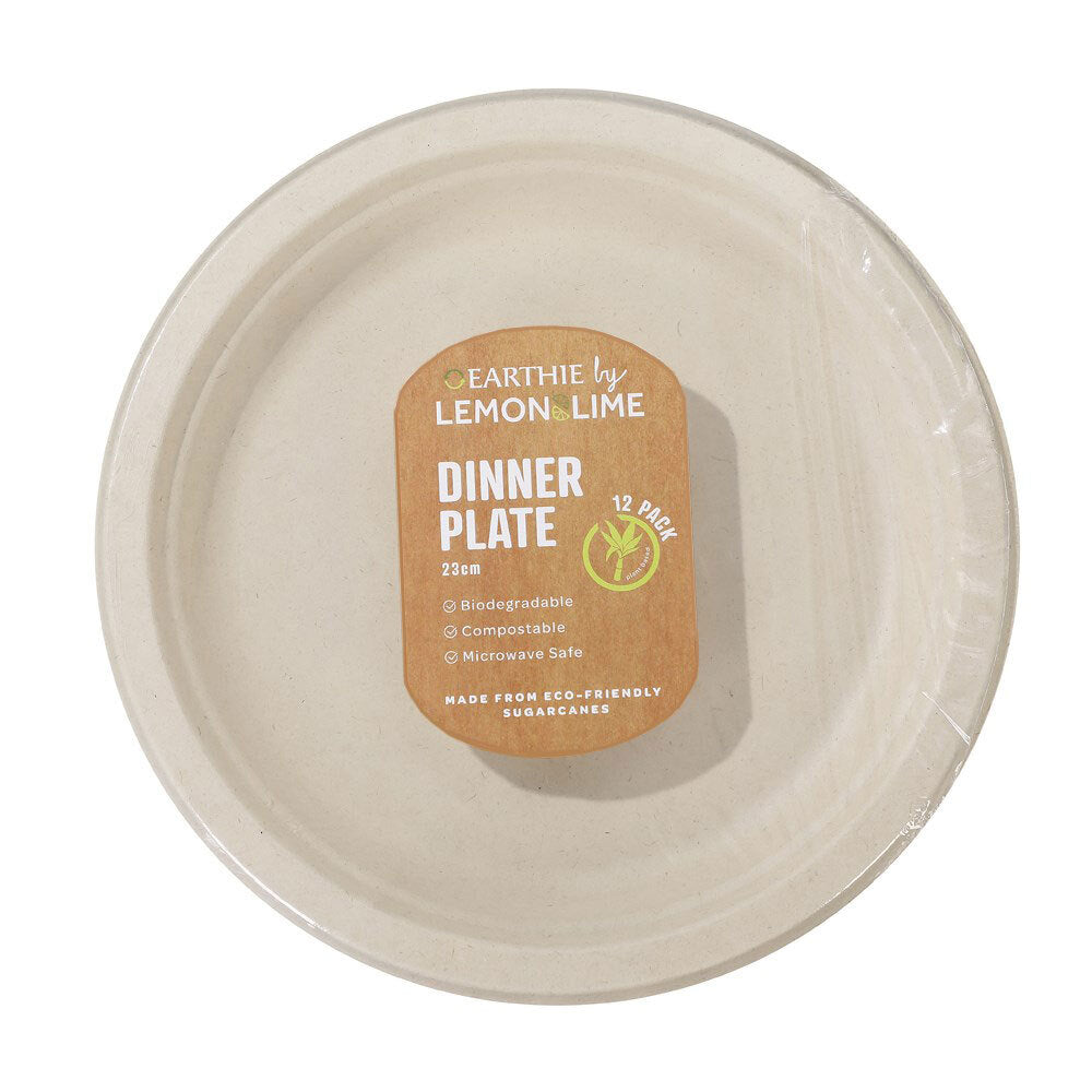 84939-12pk-lemon-lime-sugarcane-23cm-dinner-plate-natural