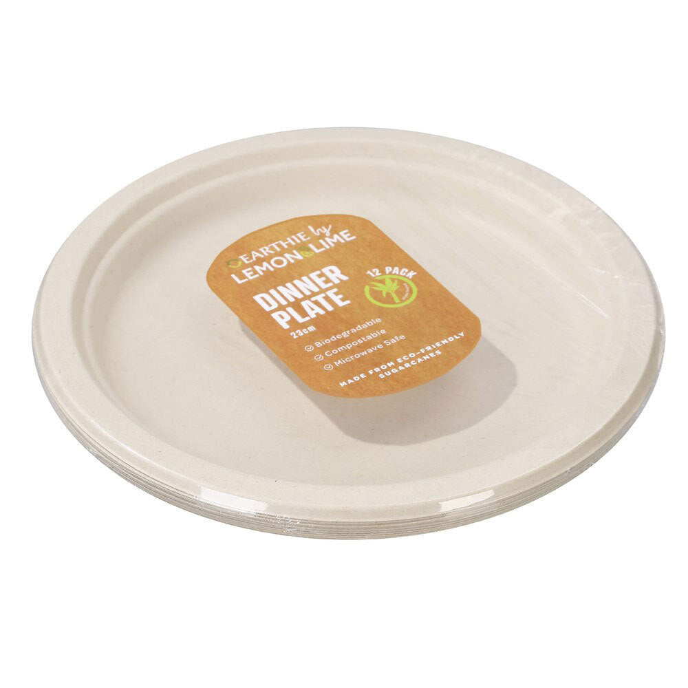84939-12pk-lemon-lime-sugarcane-23cm-dinner-plate-natural