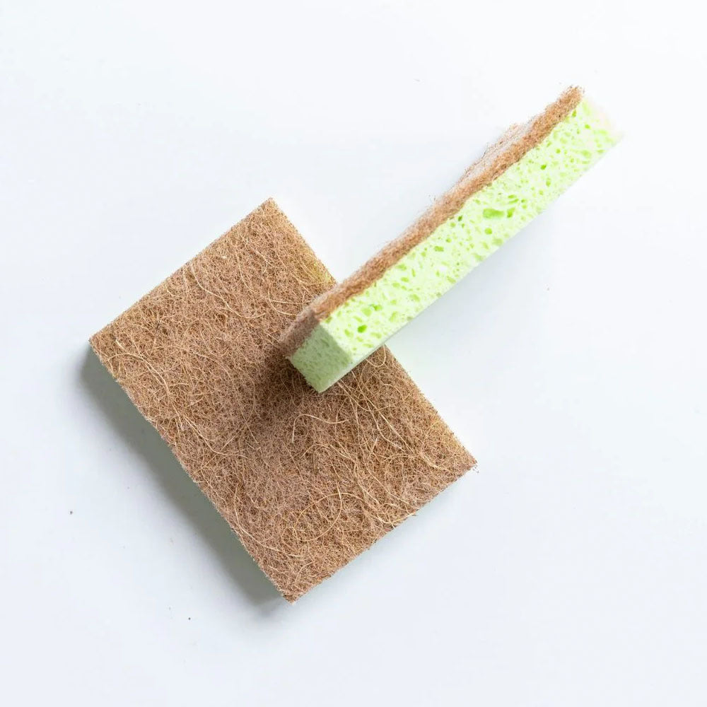7228urb-2pc-eco-turtles-non-scratch-cellulose-kitchen-sponge