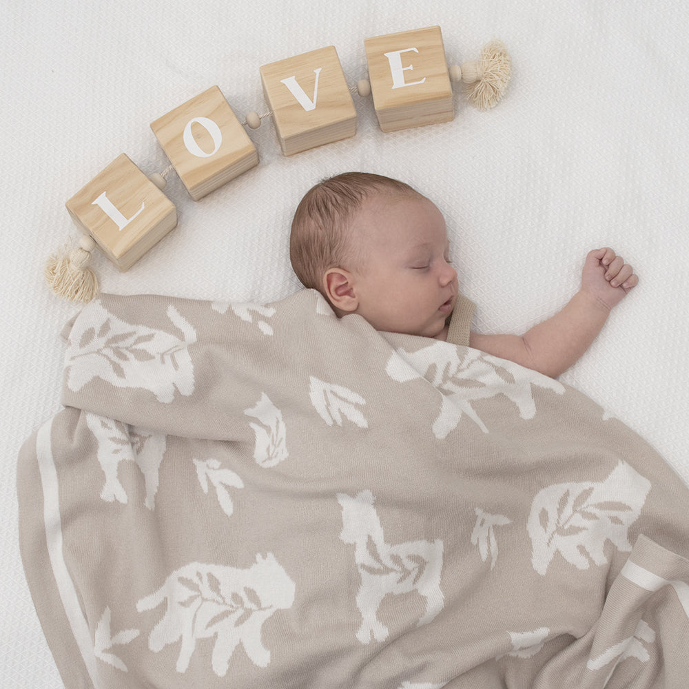 4322147-lolli-living-100-cotton-knit-pram-blanket-bosco-bear