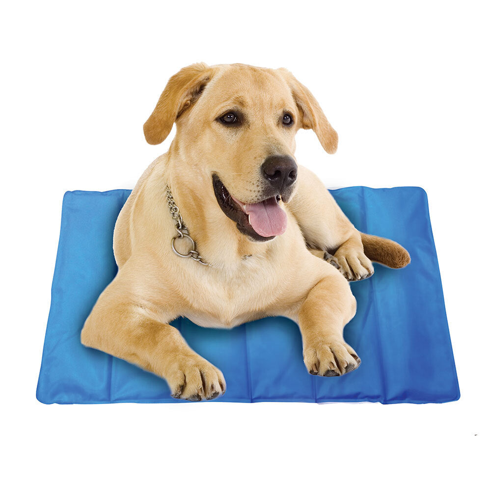 81501-spatastic-pet-cooling-mat-jumbo-90-x-60cm-blue