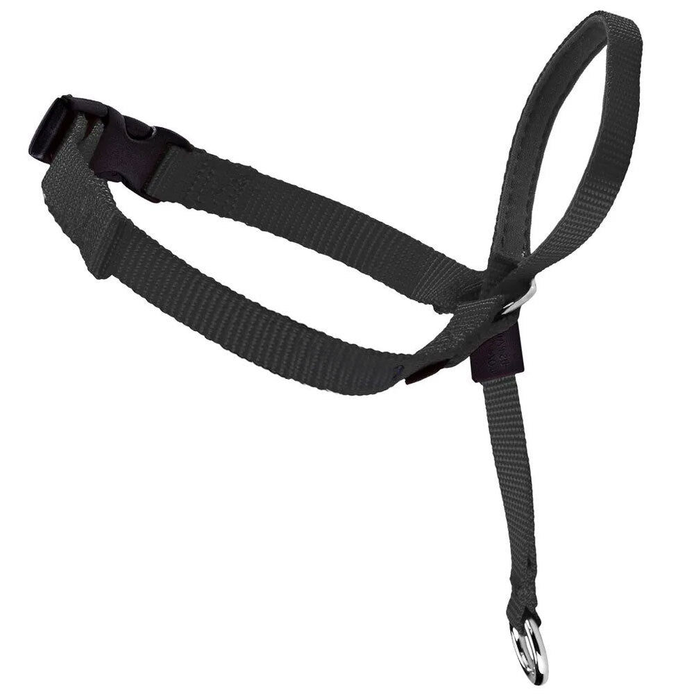 892011-gentle-leader-5-10kgs-dog-head-collar-s-black
