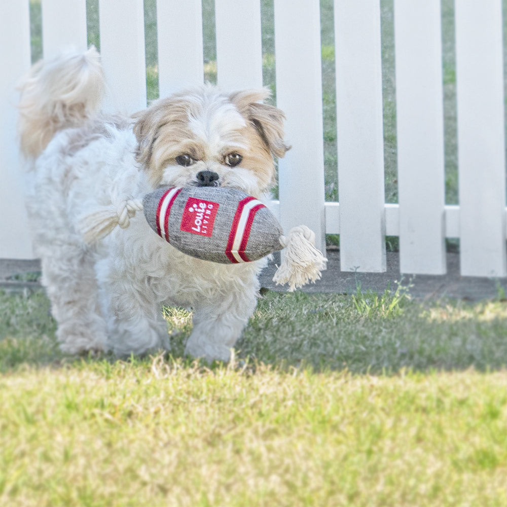 Louie Living Urban Pet/Dog/Cat Toy Football Plush