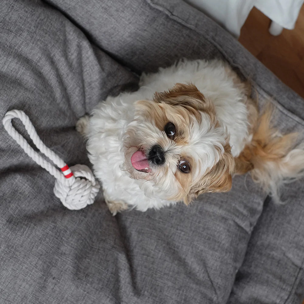 Louie Living Urban Dog/Pet 20cm Tug Rope Toy Small - White