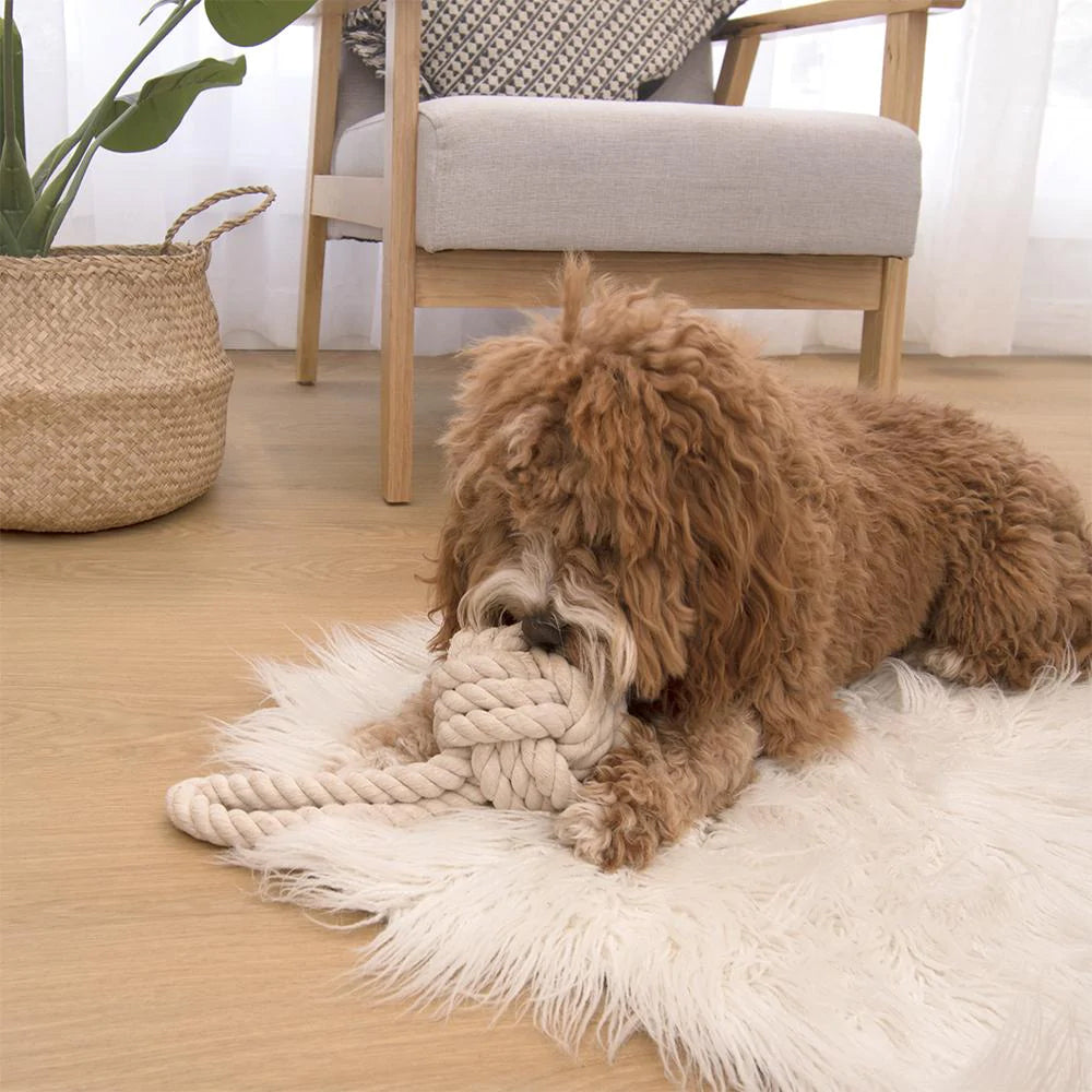 Louie Living Urban Dog/Pet Toy Tug Rope Medium