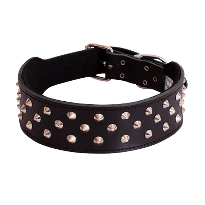 1014301-beau-pets-australia-60cm-staffy-bull-terrier-pet-collar-stud-black