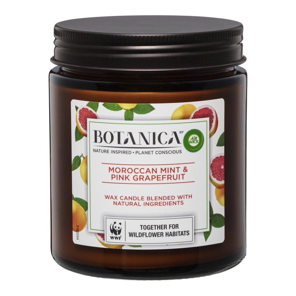 3111197-air-wick-botanica-scented-wax-candle-moroccan-mint-pink-grapefruit