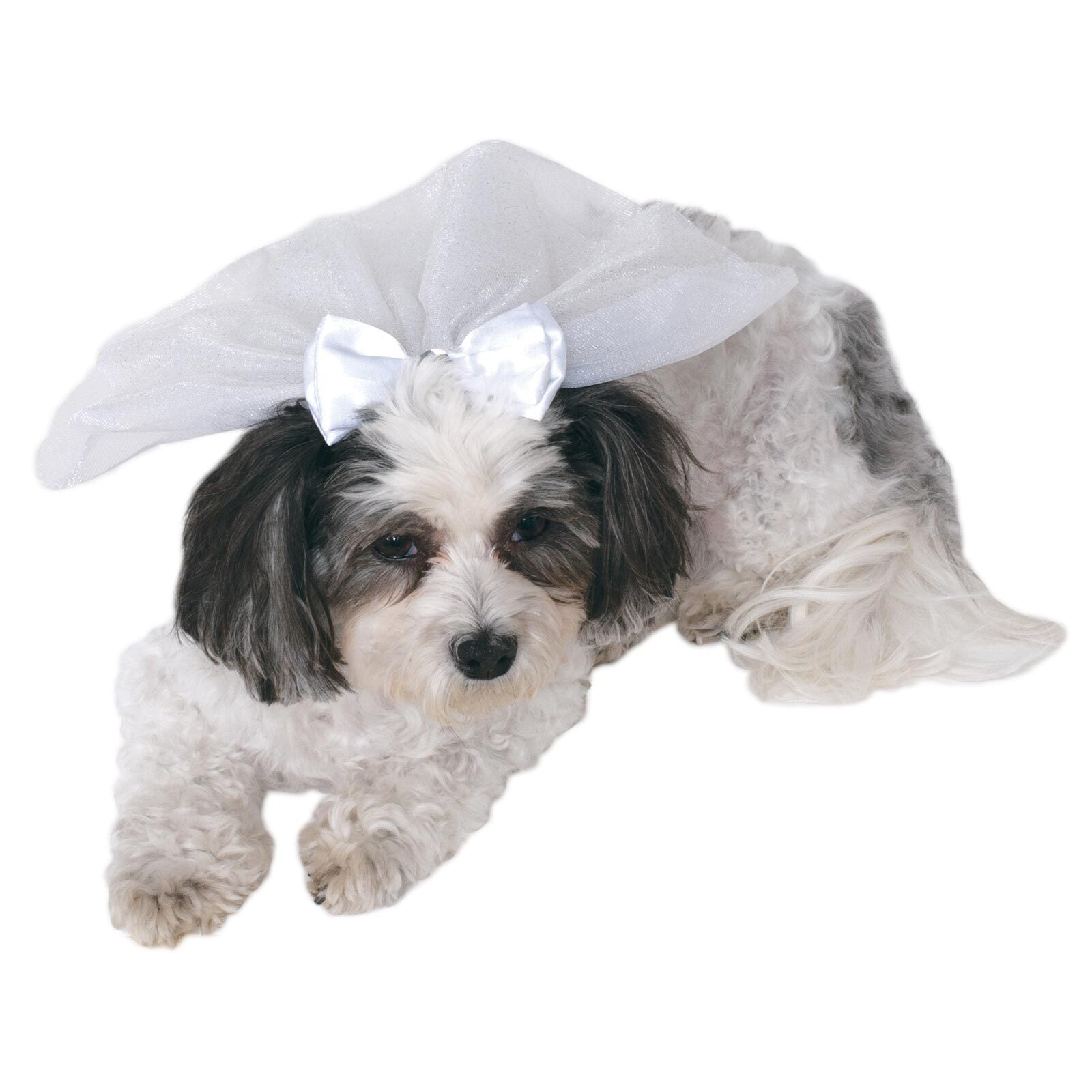 580102s-m-rubies-marriage-wedding-veil-for-pets-dog-cat-size-s-m