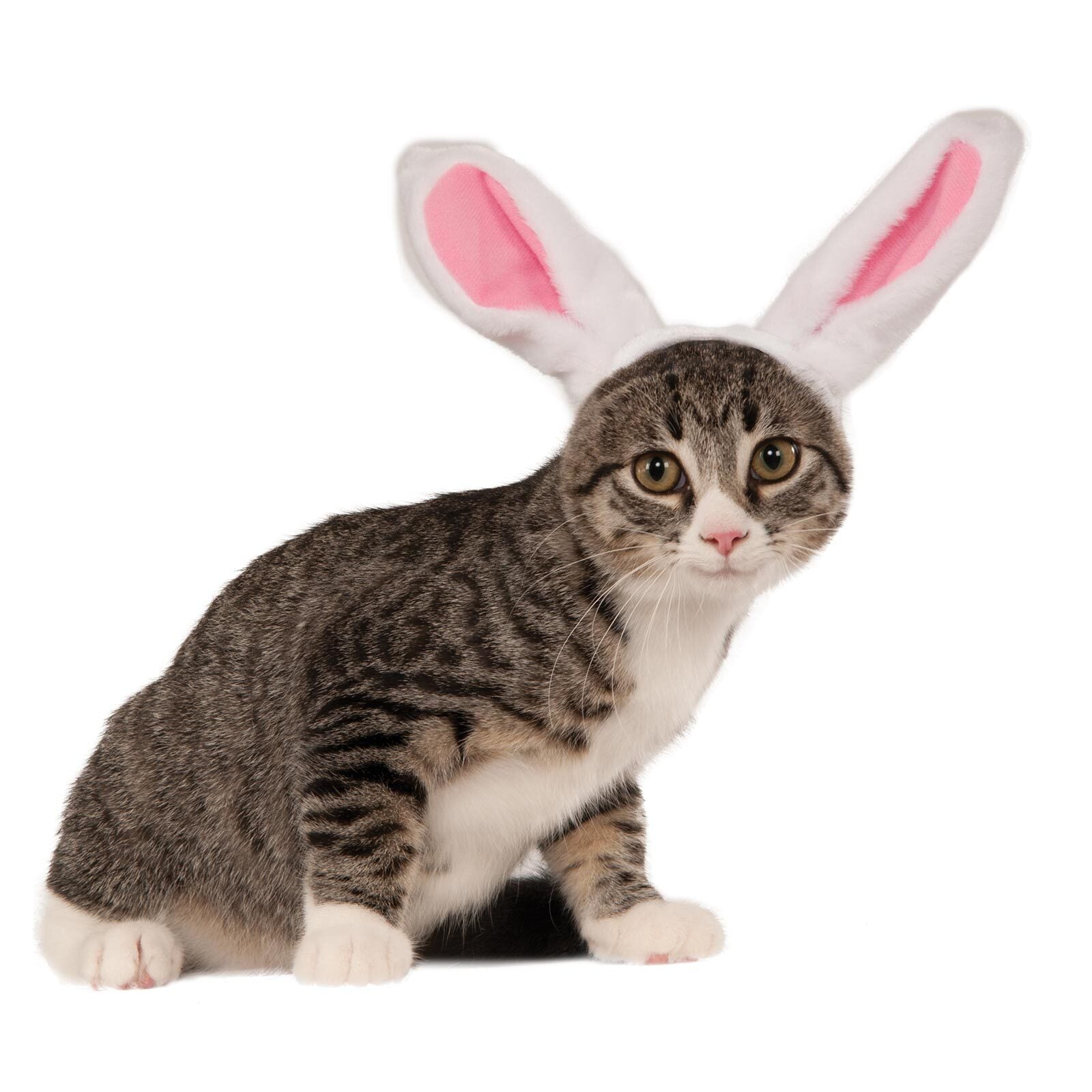 580181sm-rubies-bunny-ears-pet-accessory-dog-cat-size-s-m