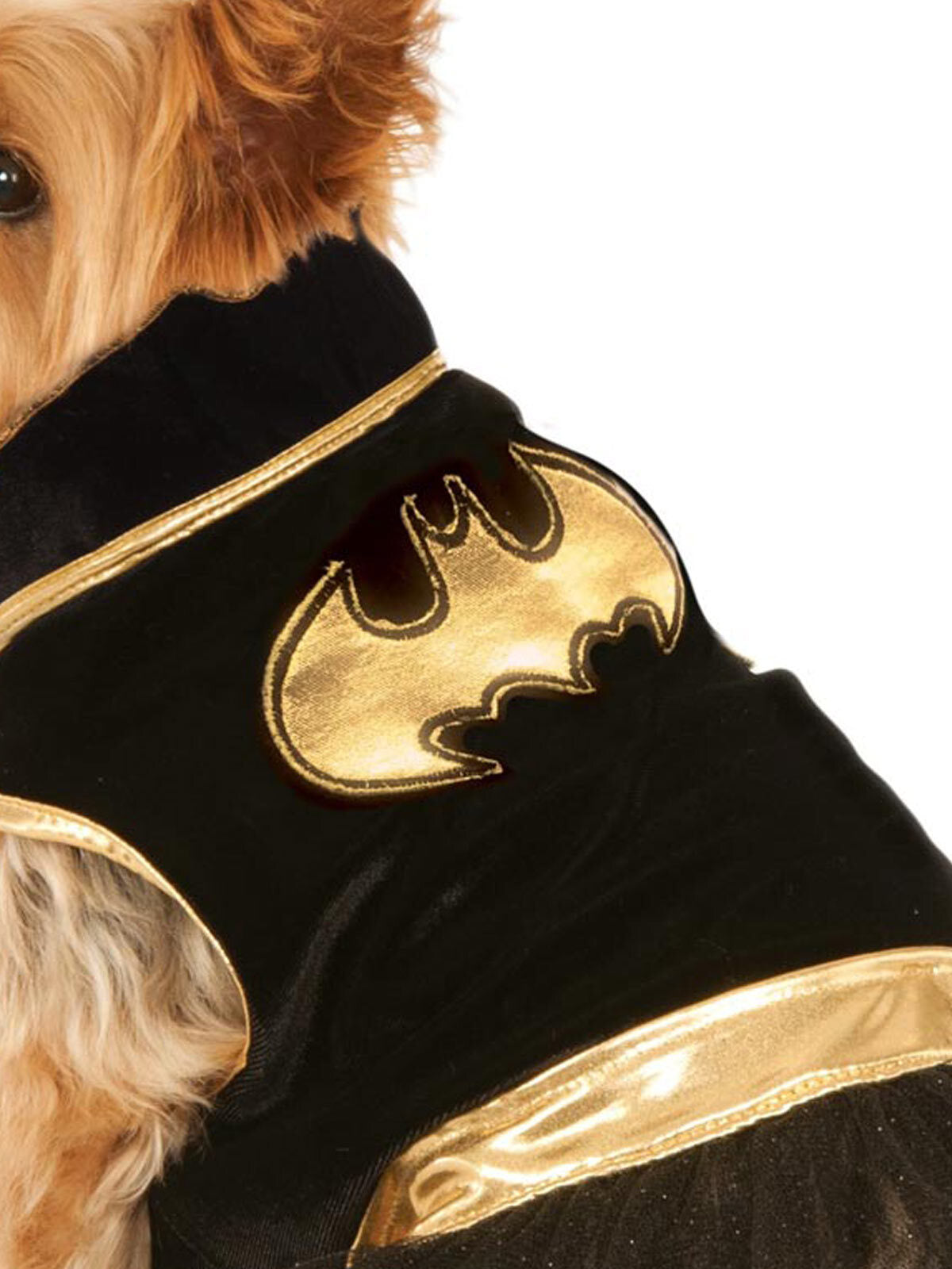 580323xl-dc-comics-batgirl-pet-tutu-dress-pet-dress-up-costume-size-xl