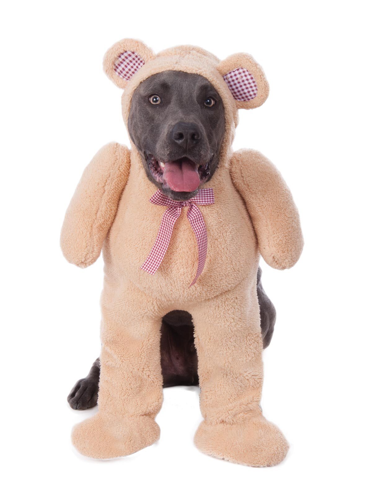 580714xxl-rubies-walking-teddy-bear-big-dogs-pet-dress-up-costume-size-xxl