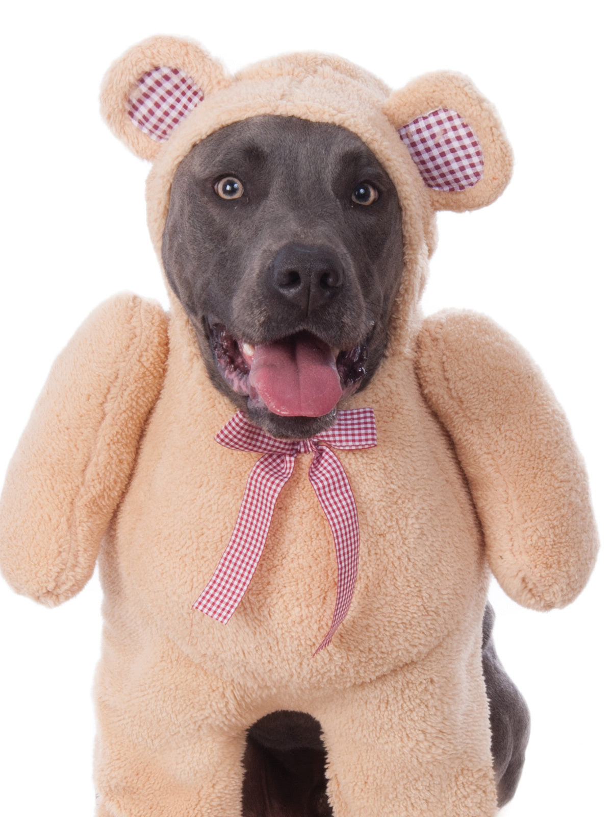 580714xxxl-rubies-walking-teddy-bear-big-dogs-pet-dress-up-costume-size-xxxl