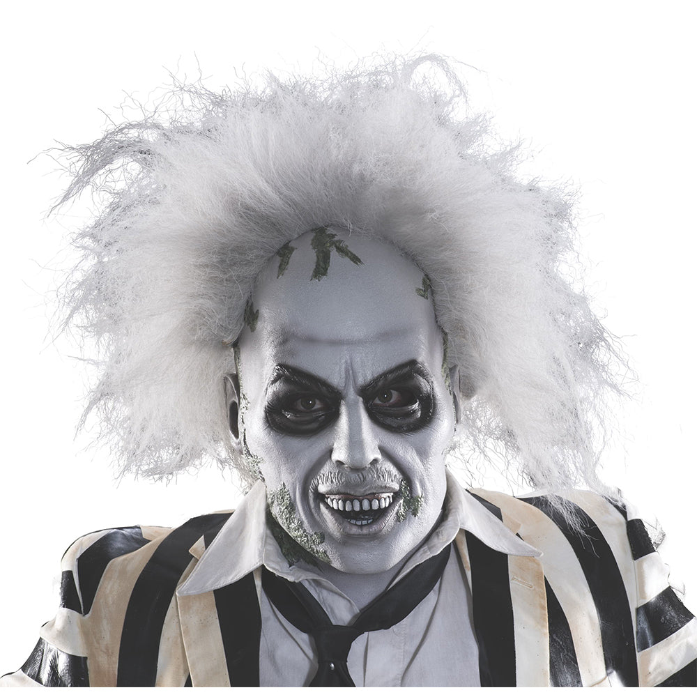 68530-warner-bros-beetlejuice-overhead-mask-w-hair-adult-mens-costume