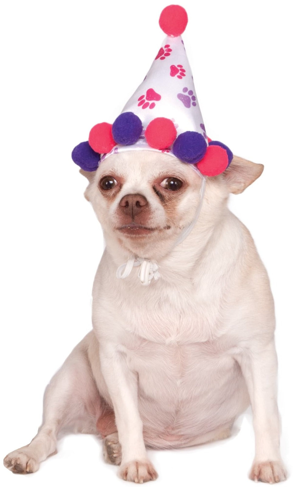 886530ml-rubies-paw-print-girl-pet-birthday-hat-dog-costume-size-m-l